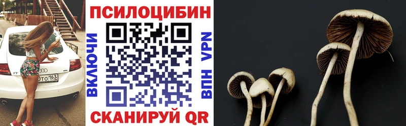 Псилоцибиновые грибы Magic Shrooms  дарнет шоп  Цимлянск 